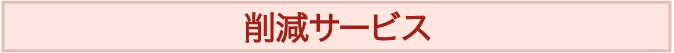 削減サービス